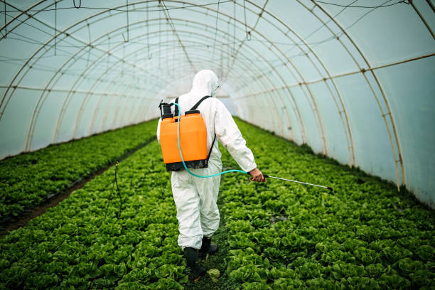 Best Mosquito Control Services  in Thornton, CO