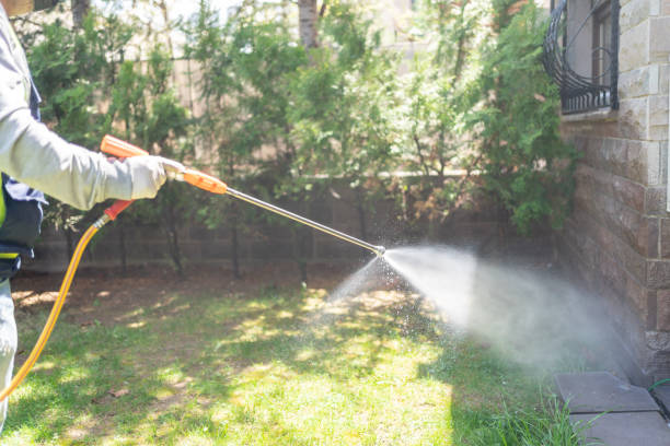 Pest Control Cost in Thornton, CO