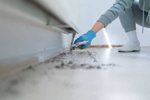 Pest Control for Restaurants in Thornton, CO